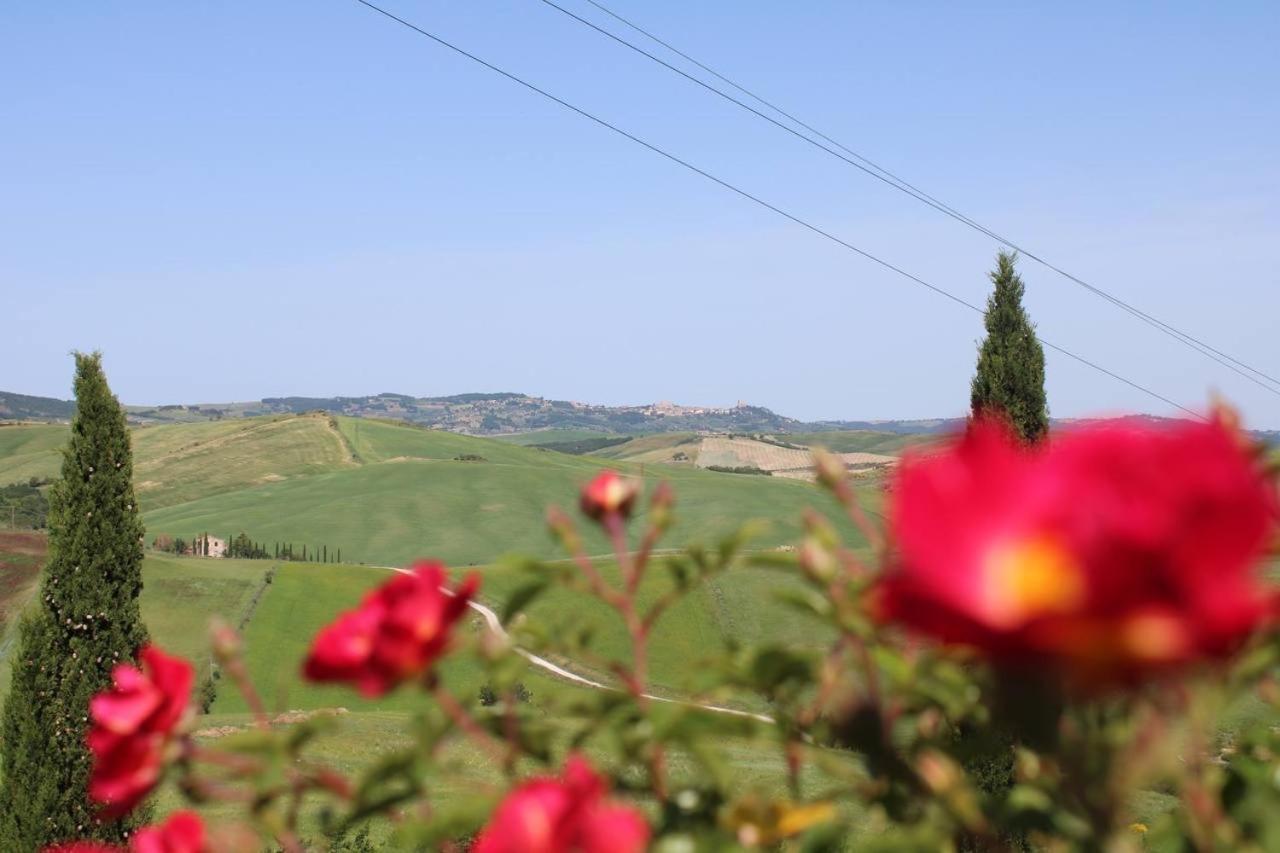 帕舍乐拉农家乐 Campiglia dʼOrcia 外观 照片